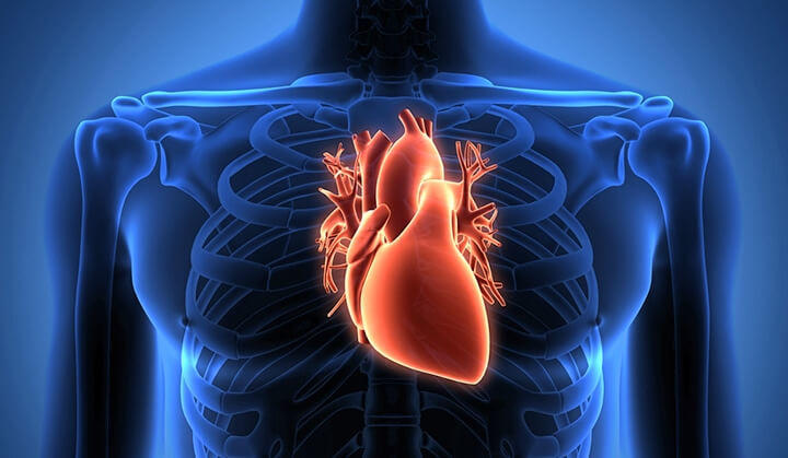 kalp bilge sağlık sistemleri kan testi hipertansiyon