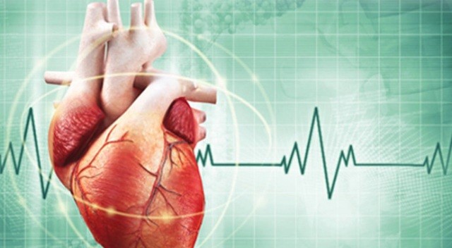 kalp kapakçığı sağlığı