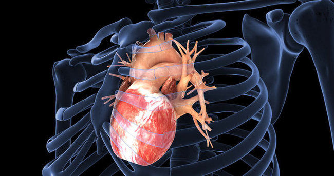 koroner kalp hastalığı konusunda sağlık eğitimi